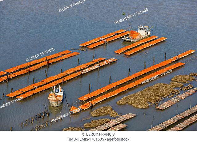 France, Charente Maritime, Port des Barques, oyster farm boat placing oyster collectors in a farm (aerial view)