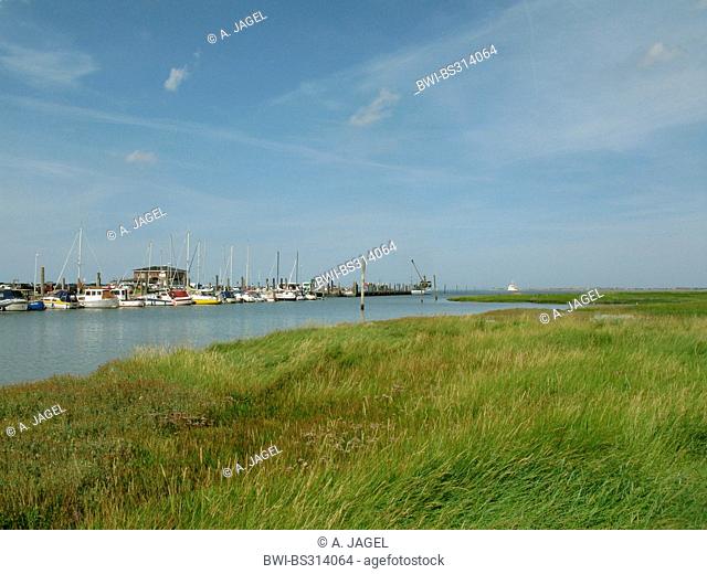 salt marshes at Nessmersiel with approaching Baltrum ferry, Germany, Lower Saxony, Baltrum, Nessmersiel