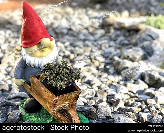 Gartenzwerg in einem Schottergarten in Bielefeld / garden gnome in a gravel garden in Bielefeld, 10.6.2021, Foto: Robert B. Fishman