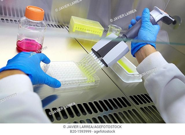 Cytotoxicity studies  Study of the toxic effects of substances in cell lines to assess the lethal dose 50 and the mean dose toxic  Cell Culture cleanroom...
