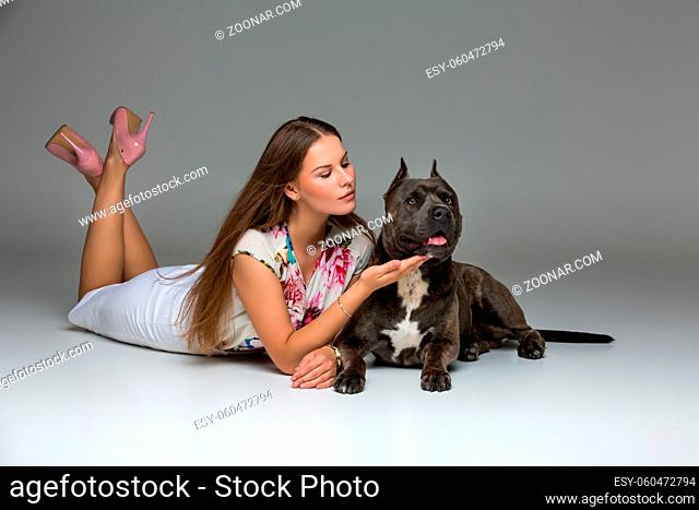 Beautiful elegant happy young woman in white dress hugging adult grey amstafford terrier dog with bow on neck. Studio shot over grey background