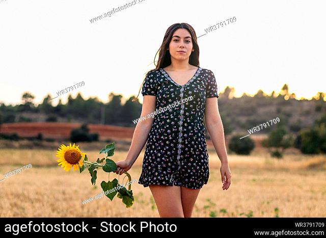 young woman, summer, sunflower, dress