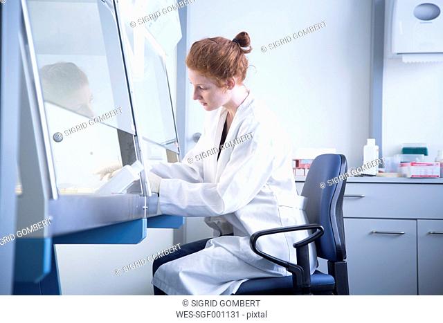 Young female natural scientist controlling a test at laminar flow cabinet in biochemistry laboratory