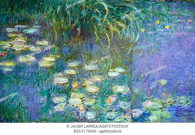 Water-lilies Nympheas series painted by Claude Monet, Musee de L'Orangerie Museum, Tuileries, Paris, France
