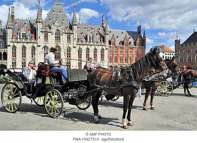 Horse Equus spp - Provinciaal Hof, Grote Markt, Brugge, Brugse Ommeland, Flanders, Belgium, Europe