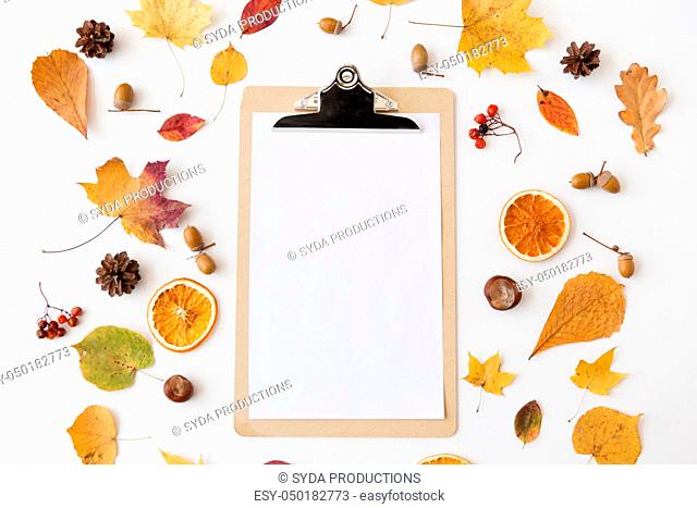 autumn fruits and clipboard with blank white paper