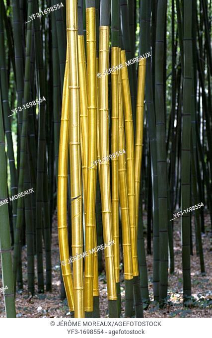 Golden Bamboos art work, Anduze bamboo plantation, France