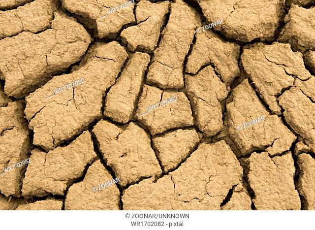 Close-up of earth cracked because of drought