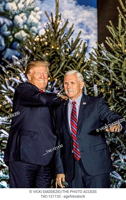 President Elect Donald Trump Vice and Vice President Elect Mike Pence on stage at Donald Trump's Thank You Tour on Friday December 16