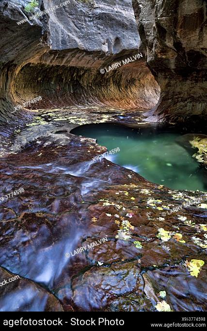 Vertical of green pool, flowing water and a circular rock formation at the Subway, a unique tunnel scuplted by the Left Fork of North Creek in Zion National...