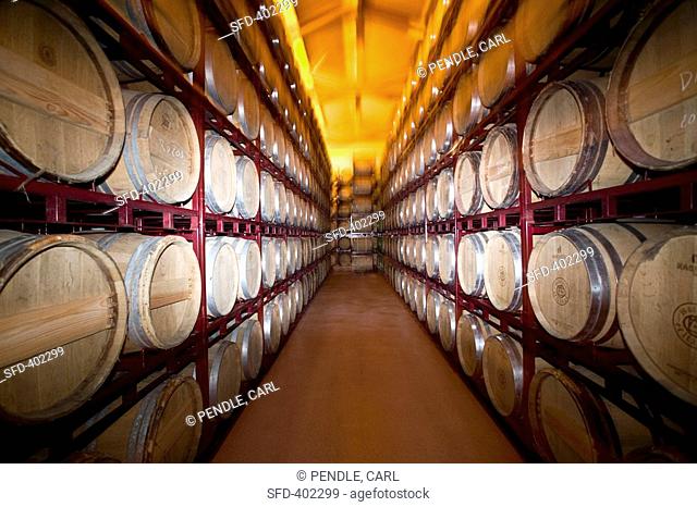 Rioja barrels, Spain