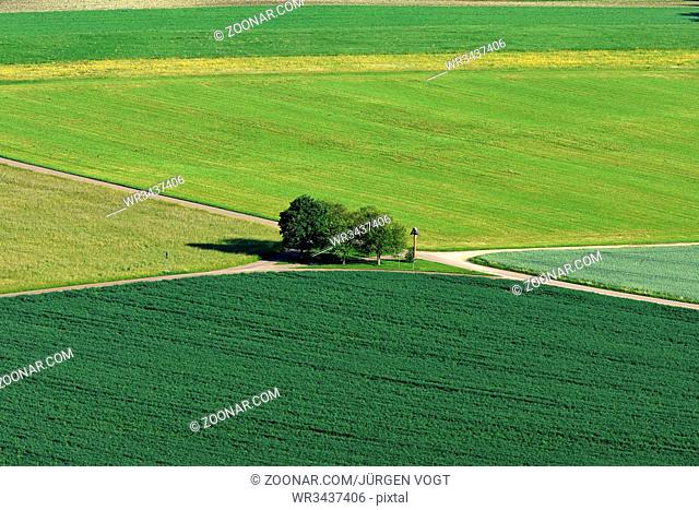 Schwaebische Alb; Landschaft mit Aecker, Wiesen; Felder und Baeumen; swabian alps; landscape