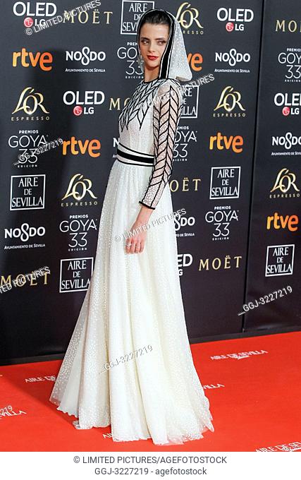 Macarena Gomez attends the Spanish Cinema awards Goya 33rd edition at FIBE attends 33rd Goya Cinema Awards 2019 at Palacio de Congresos y Exposiciones FIBES on...