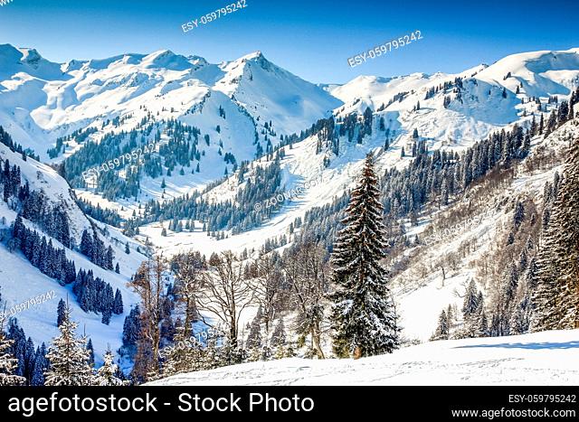 Remote mountain winter landscape with deep snow and forest on clear sunny day. Allgaeu Alps, Bavaria in Germany