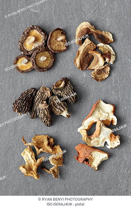 Five varieties of dried mushrooms: Shitake, Porcini, Morel, Hedgehog, Lobster