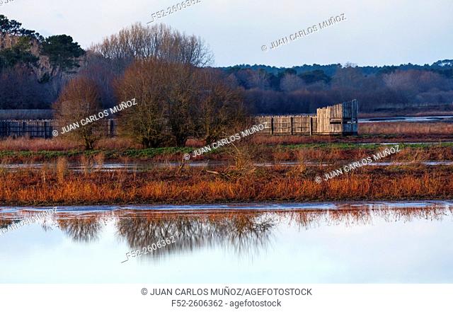 Natural preserve of Marais d'Orx wetland, Landes, France, Europe