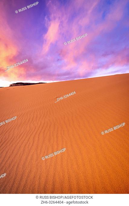 Evening light over dunes, Coral Pink Sand Dunes State Park, Kane County, Utah USA