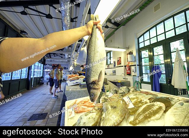 mercado de pescados, Mahon, Menorca, balearic islands, Spain