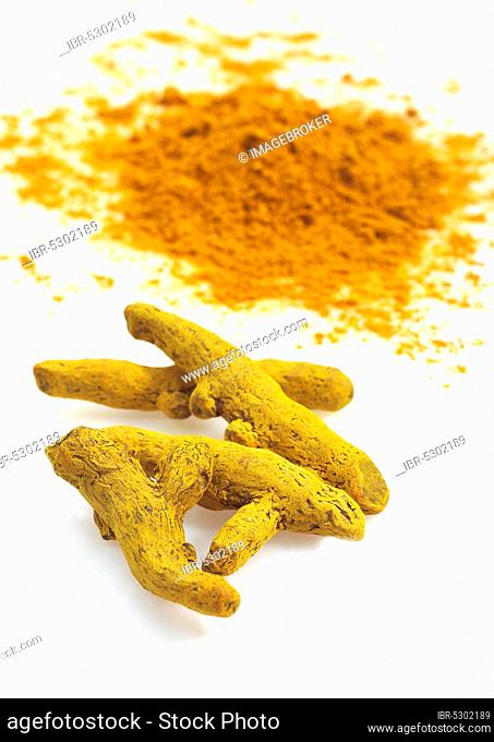 Turmeric (curcuma longa), curcume, yellow ginger, saffron root, turmeric, turmeric root, ginger family, root of turmeric