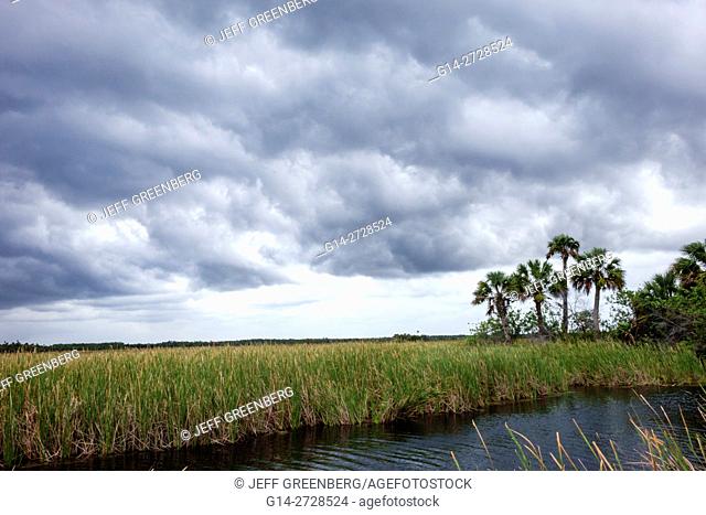 Florida, Tamiami Trail, Florida Everglades, Everglades National Park, tropical wetland, environment, ecosystem, vegetation, sawgrass, marsh, canal, storm clouds