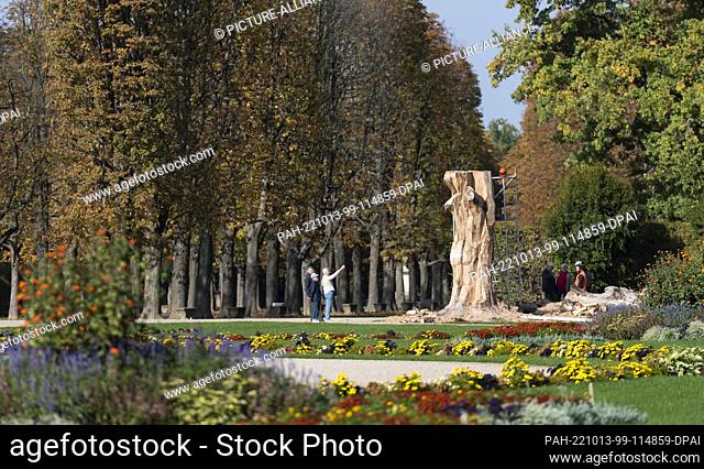 13 October 2022, Saxony, Dresden: Park visitors stand next to a book torso for a dead blood beech in Pillnitz Palace Park