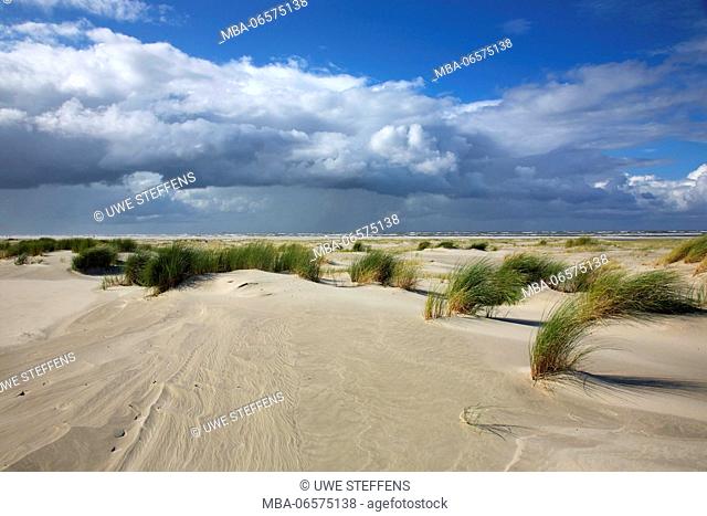 Approaching shower above the predunes in the east of the island Langeoog