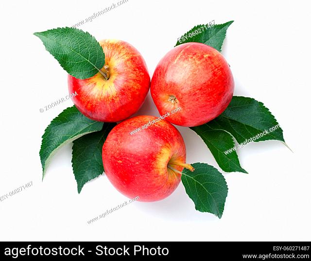 Red apples with leaves isolated over white background. Gala apple. Top view