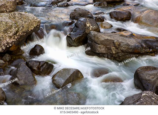Boulders strewn across the creek bed create small waterfalls within Icicle Creek in The Alpine Lakes Wilderness area in North Central Washington