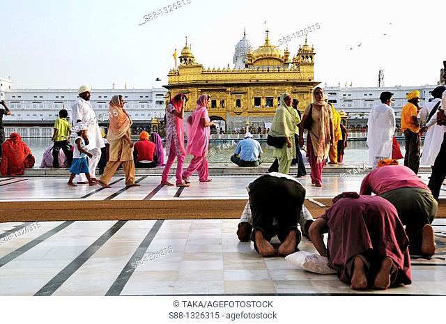 Sikh pilgrims praying for the God in Golden Temple, Punjab Amritsar India