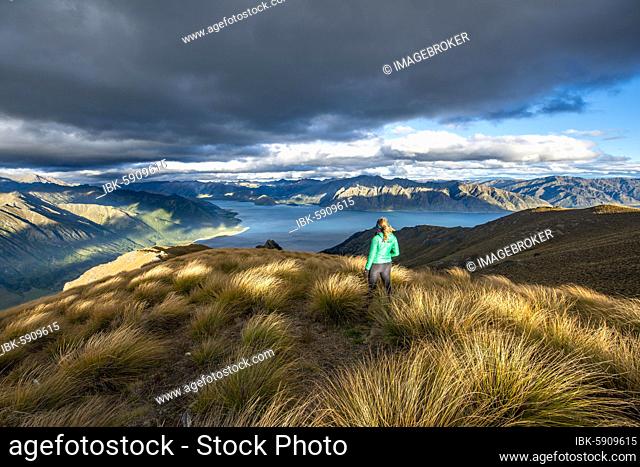 Hiker looks into the distance, view of Lake Hawea in the evening light, lake and mountain landscape, view from Isthmus Peak, Wanaka, Otago, South Island