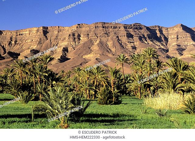 Morocco, High Atlas, Draa Valley, and palm Jebel Kissane in the background