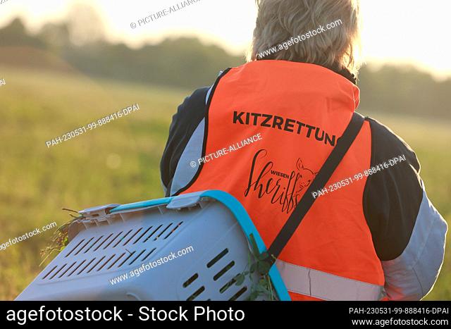 31 May 2023, Saxony-Anhalt, Wernigerode: In the early morning light, members of Meadows Sheriffs stand in an alfalfa meadow with a transport box
