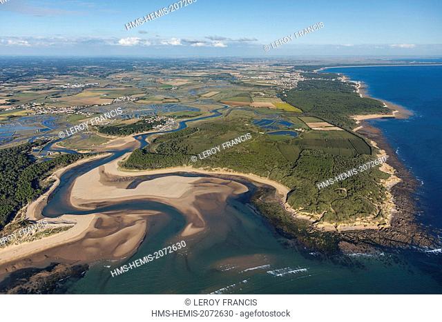 France, Vendee, Talmont Saint Hilaire, le Havre du Payre, Veillon beach and la Guittière marshes (aerial view)