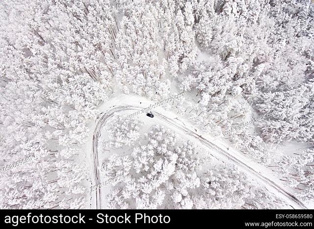 Car on road in winter trough a forest covered with snow. Aerial photography of a road in wintertime trough a forest covered in snow