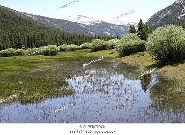 Lake with mountains in the background, Lyell Canyon, Yosemite National Park, California, USA