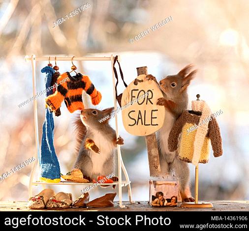 red squirrel looking at a dress with for sale sign