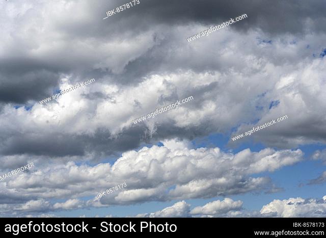 Cloud formation (cumulus), blue sky with low clouds, Baden-Württemberg, Germany, Europe