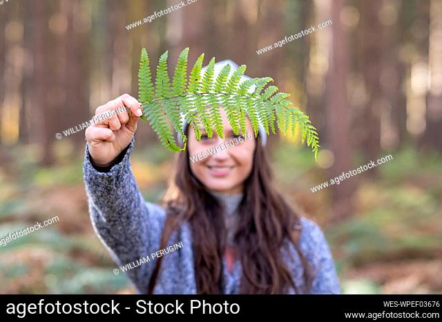 Smiling female hiker holding fern leaf while standing in Cannock Chase woodland