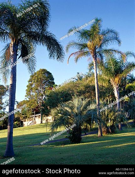 Gaia Retreat & Spa, Bangalow, Byron Bay. Sub-tropical garden
