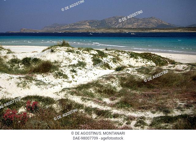 Cannigione beach, Arzachena, Costa Smeralda, Sardinia, Italy