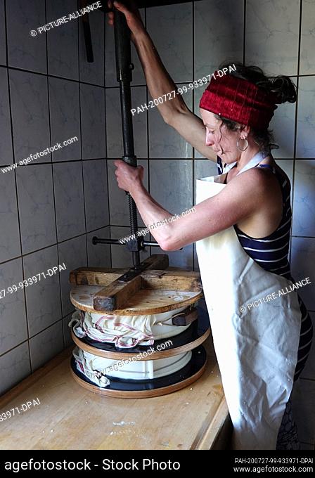 07 July 2020, Switzerland, Habkern: The German student Lotta Bess (28) attaches a cheese press to two cheese loaves on an alp in the Bernese Oberland in...