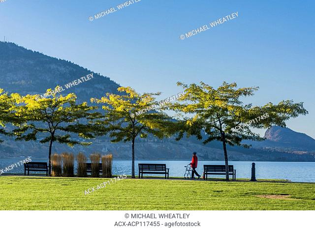 Person using a walker for stroll in Okanagan Lake Park, Penticton, British Columbia, Canada