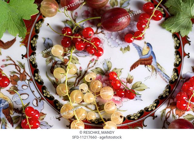 Assorted berries on a patterned plate