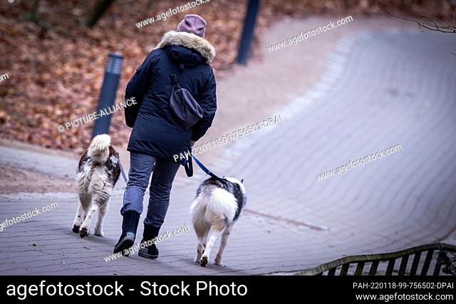 18 January 2022, Mecklenburg-Western Pomerania, Rostock: A visitor is walking with her two dogs at Rostock Zoo. The Corona pandemic has also caused fewer...