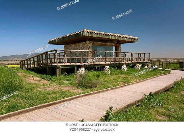 Tablas de Daimiel National Park, Island of Bread - Obsevatory, Ciudad Real-province, Castilla - La Mancha, Spain, Europe