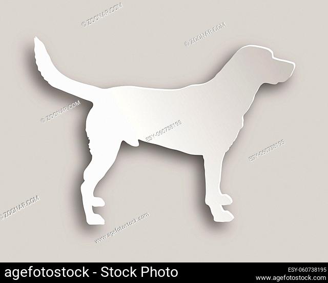 Labrador - Labrador paper style
