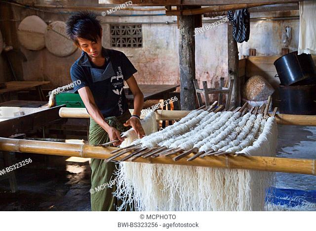 young worker hanging up rice noodles on staves, Burma, Hsipaw