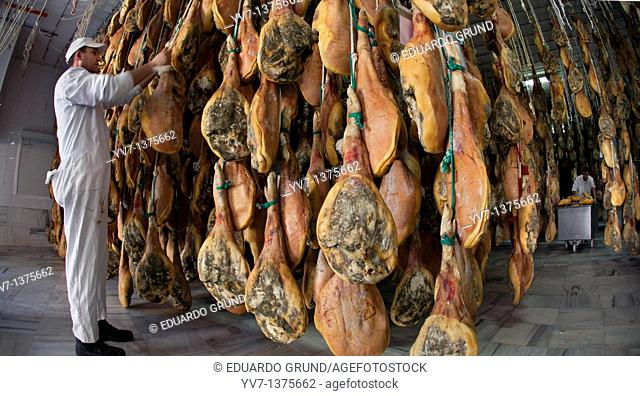 Trevelez drier hams  Alpujarra, Granada, Andalusia, Spain