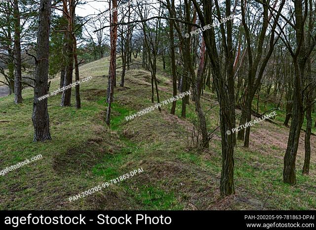 04 February 2020, Brandenburg, Seelow: A former trench from the Second World War can be seen on a hill at the edge of the Oderbruch