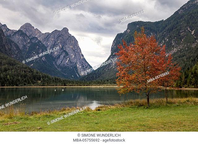 Italy, South Tirol, Toblacher See, Lago Tu Dobbiaco, Toblach, Höhlensteintal